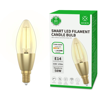 WOOX R5141, WiFi Smart Bulb E14, C37, 470 lm