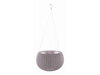 Kvetináč závesný KETER Cozy S Violet
