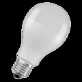OSRAM LED žiarovka E27 19W 4000K matná, studená biela
