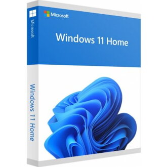 MS WINDOWS 11 Home SK 64-bit (OEM)