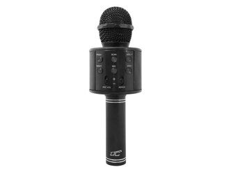Detský karaoke mikrofón LTC LXMIC100C