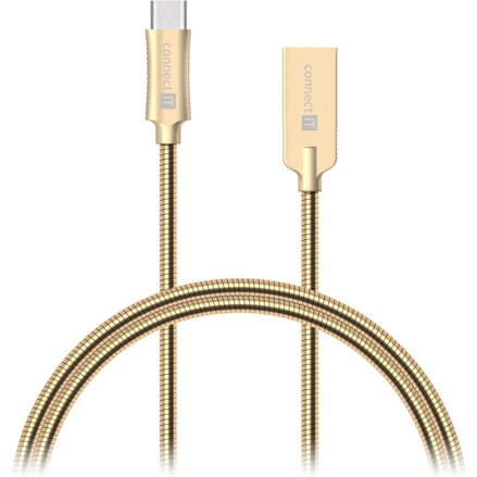 CONNECT IT Wirez Steel Knight USB Type-C/USB-A gld