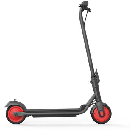 Ninebot by Segway eKickScooter ZING C20, šedá