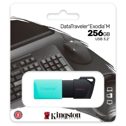 KINGSTON DataTraveler EXODIA M, 256GB, blk/tea