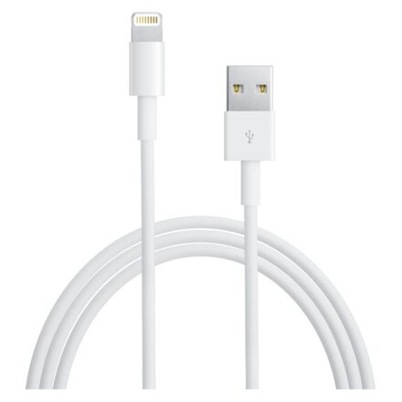 APPLE Lightning to USB Cable (2m)