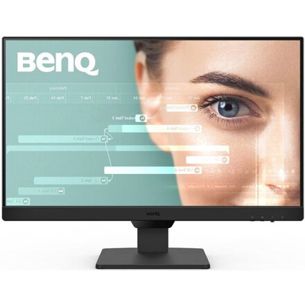 BENQ GW2490, LED Monitor FHD 23,8", čierny