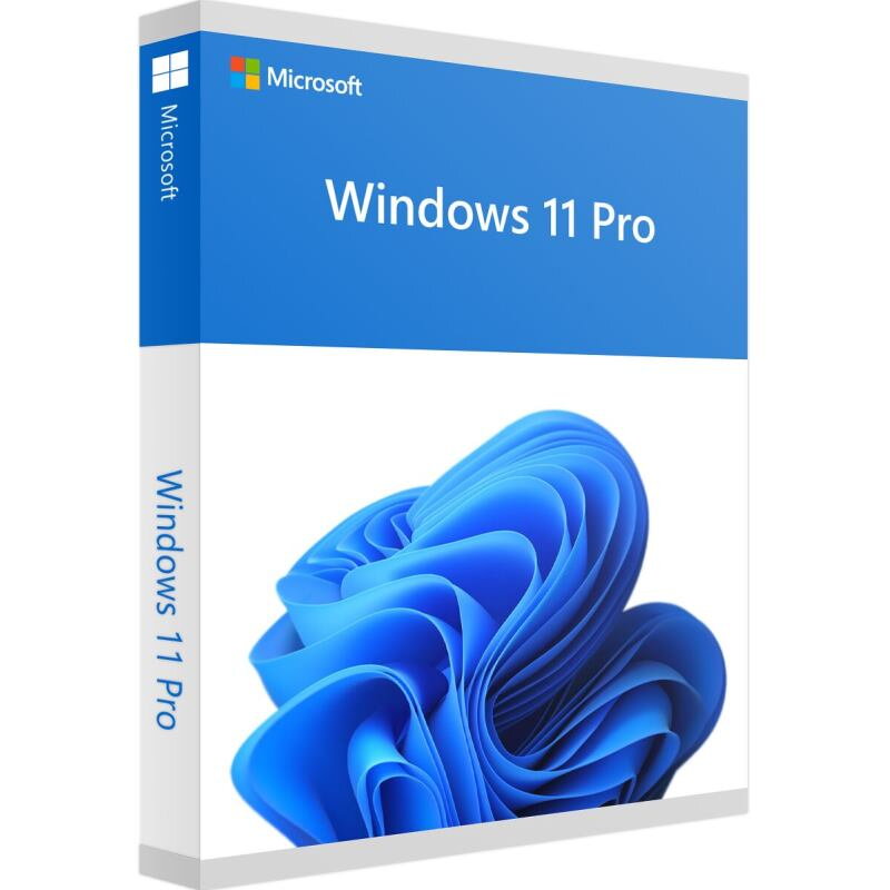 MS WINDOWS 11 Pro SK 64-bit (OEM)