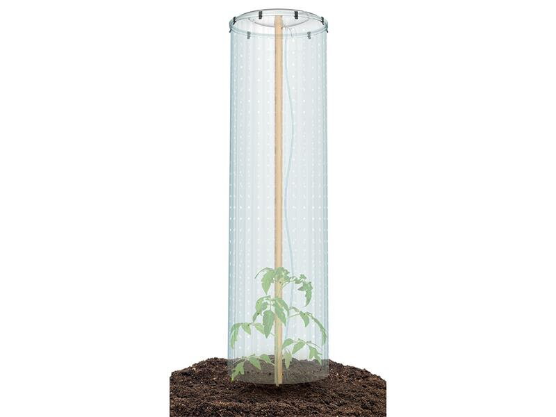 Súprava na pestovanie paradajok TOMATO GROWER CAP 38,5cm Súprava na pestovanie paradajok TOMATO GROWER CAP 38,5cm