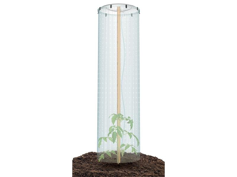 Súprava na pestovanie paradajok TOMATO GROWER CAP 38,5cm